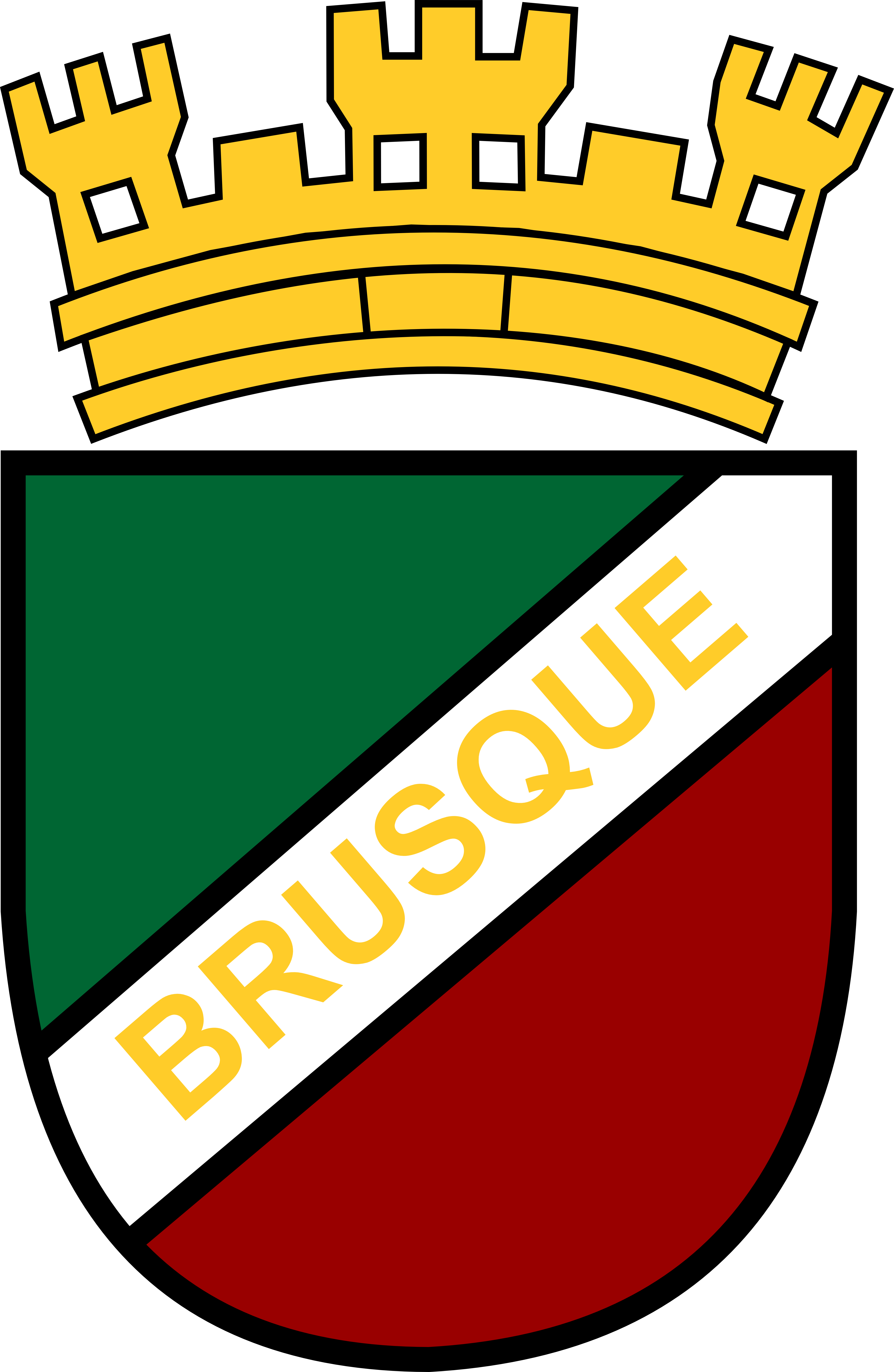 Brusque Futebol Clube