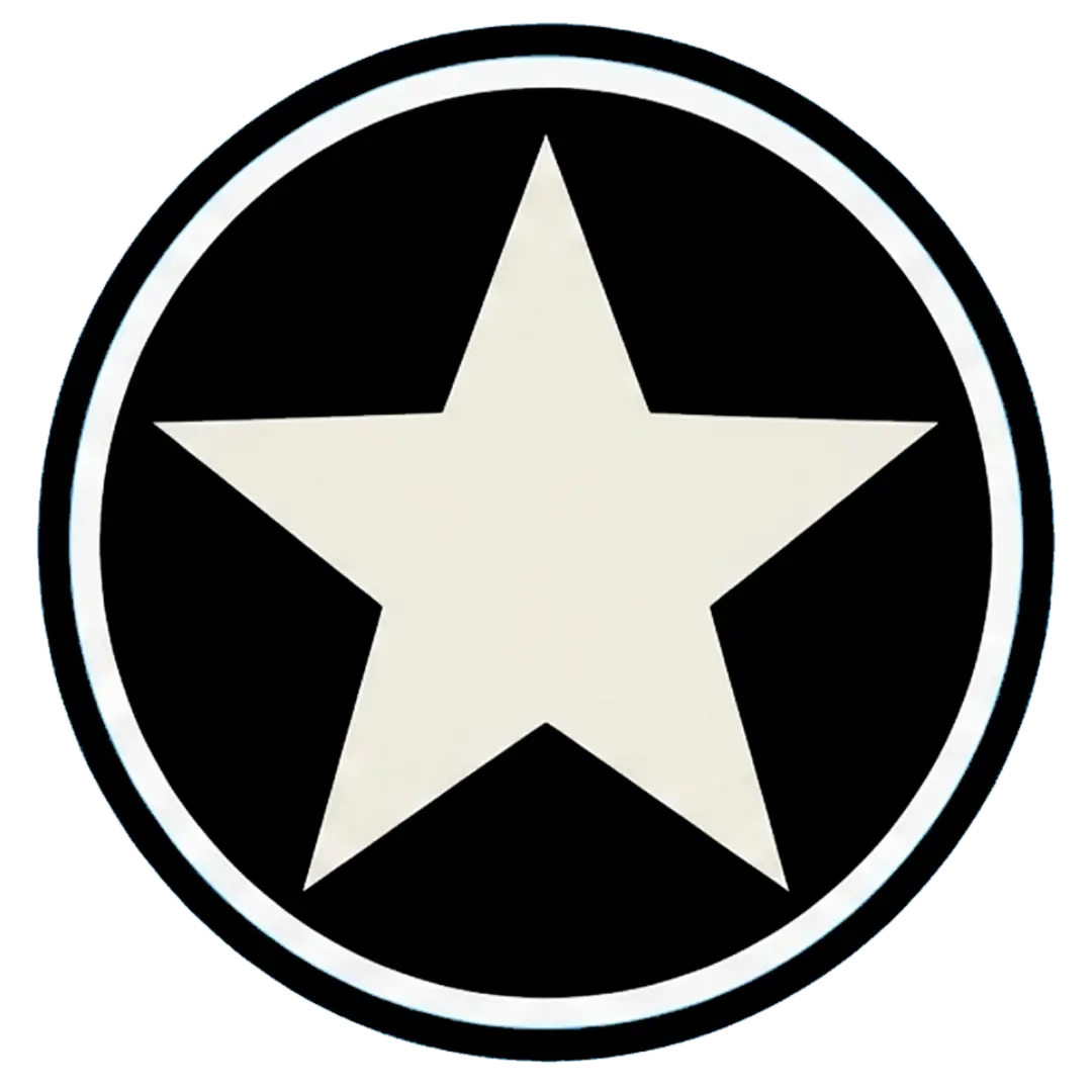 Botafogo de Futebol e Regatas
